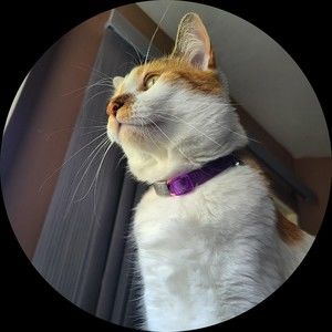 Meet your Posher, Karla